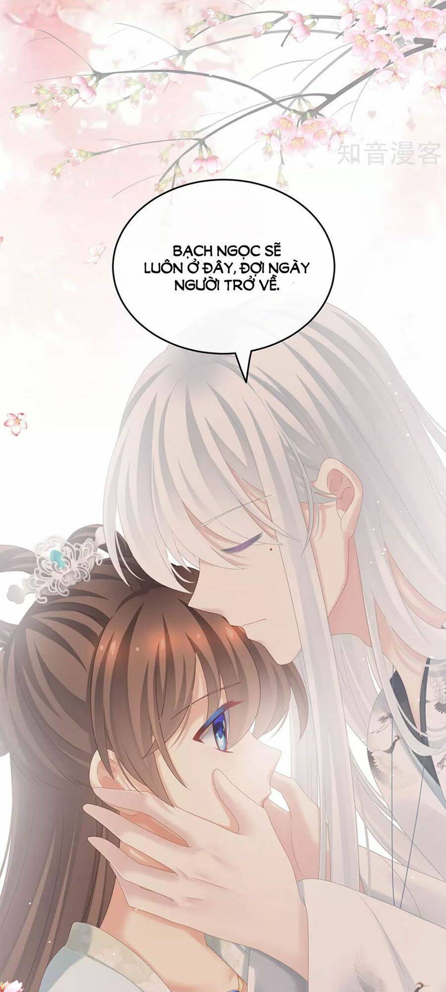 Hậu Cung Của Nữ Đế Chapter 173 - Trang 2