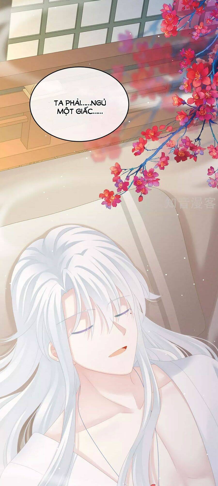 Hậu Cung Của Nữ Đế Chapter 173 - Trang 2