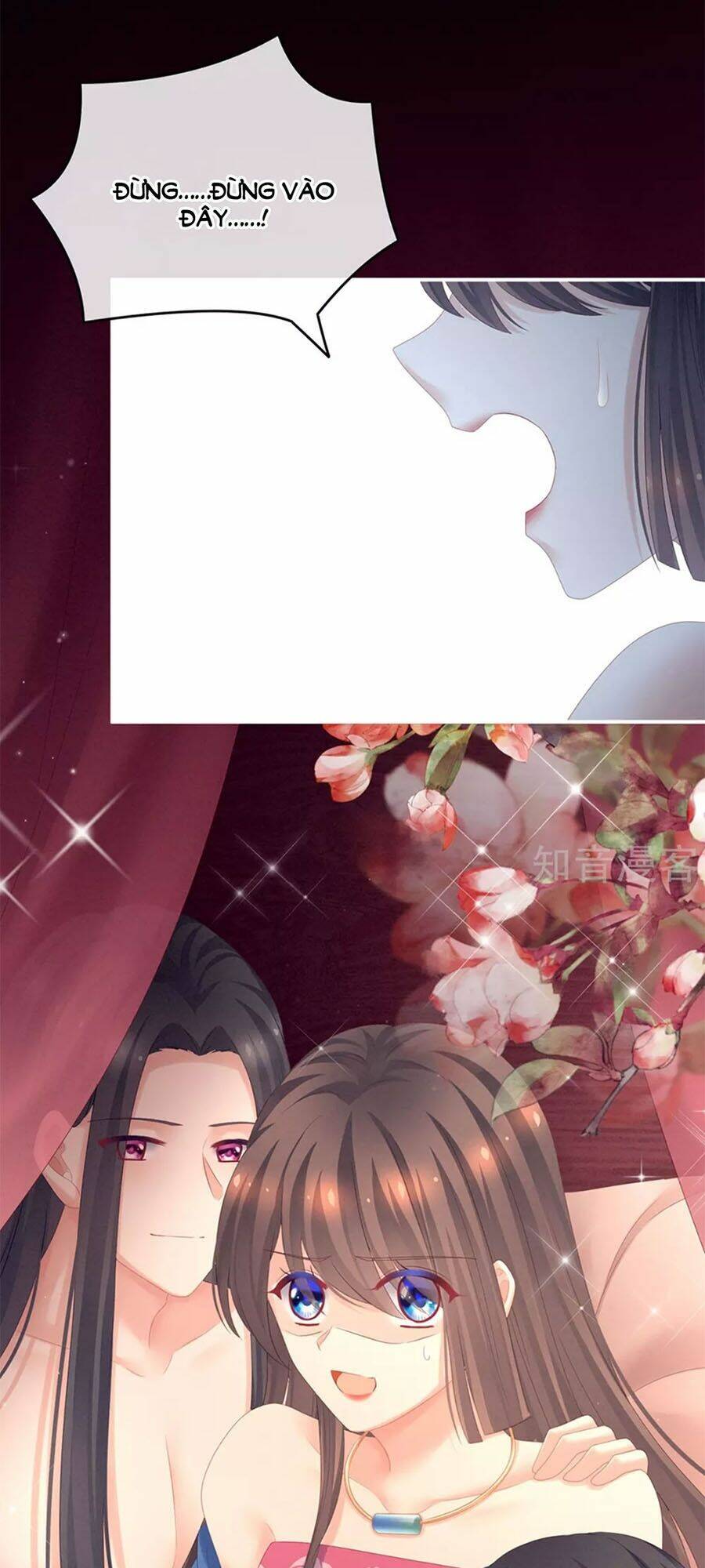 Hậu Cung Của Nữ Đế Chapter 175 - Trang 2