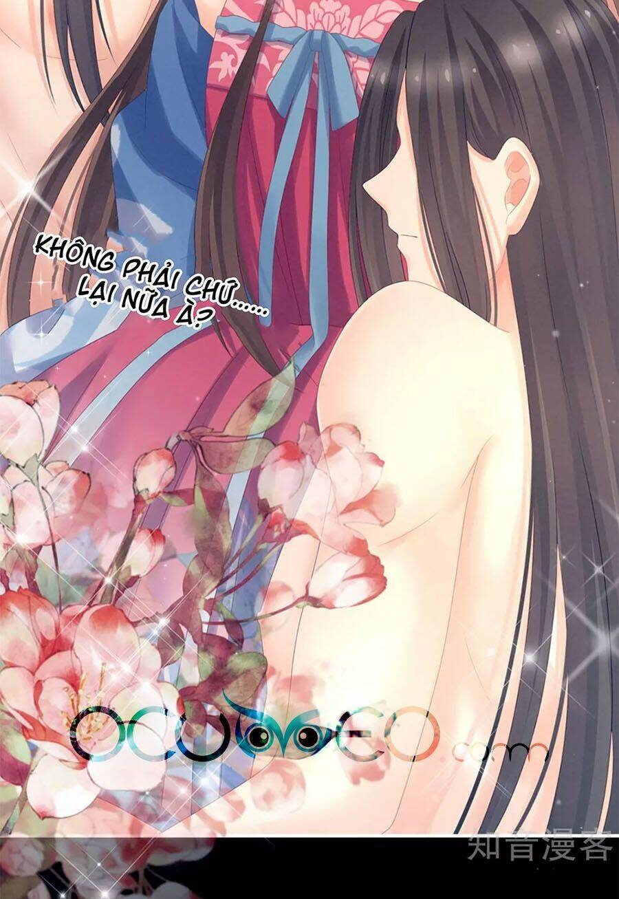 Hậu Cung Của Nữ Đế Chapter 175 - Trang 2