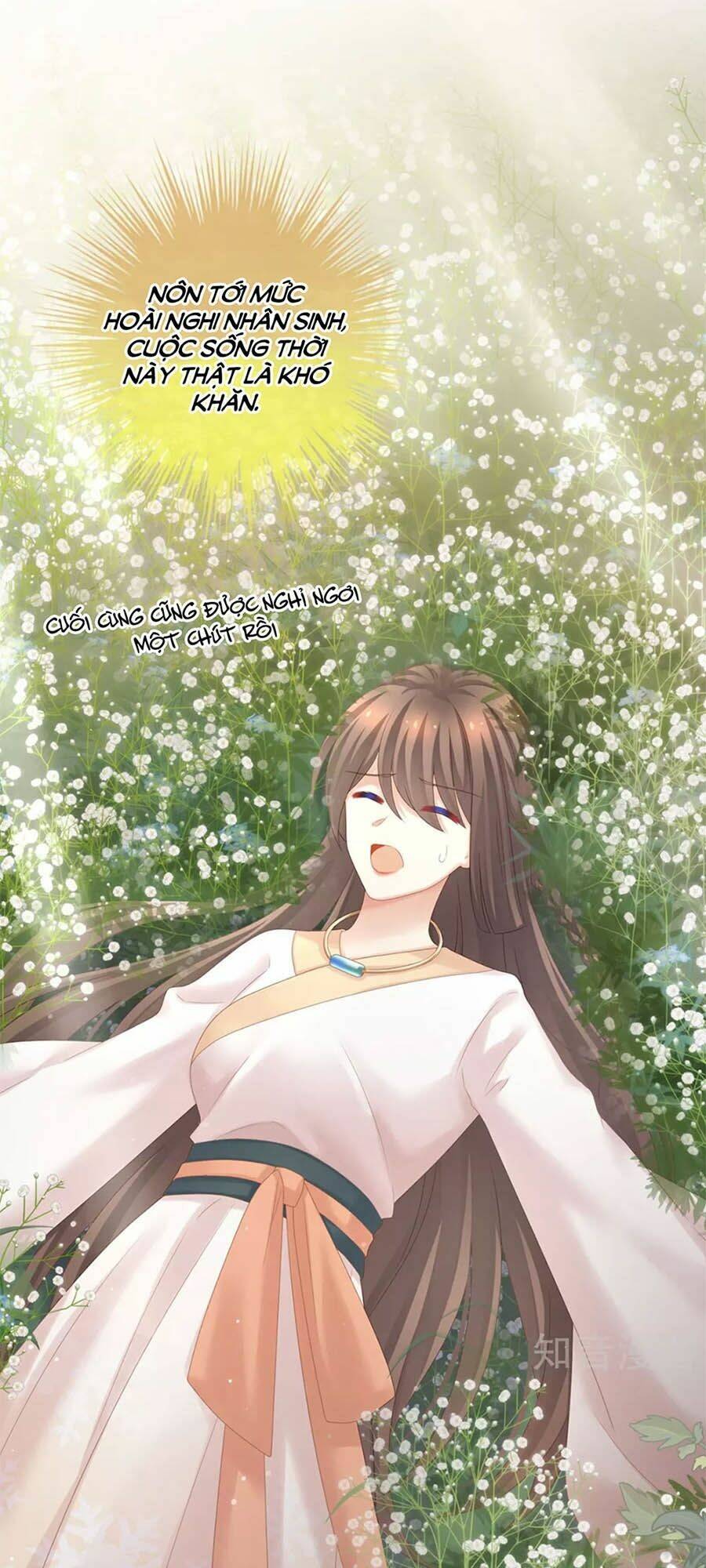 Hậu Cung Của Nữ Đế Chapter 178 - Trang 2