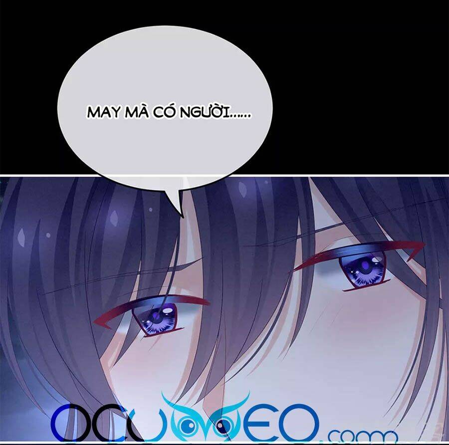 Hậu Cung Của Nữ Đế Chapter 181 - Trang 2