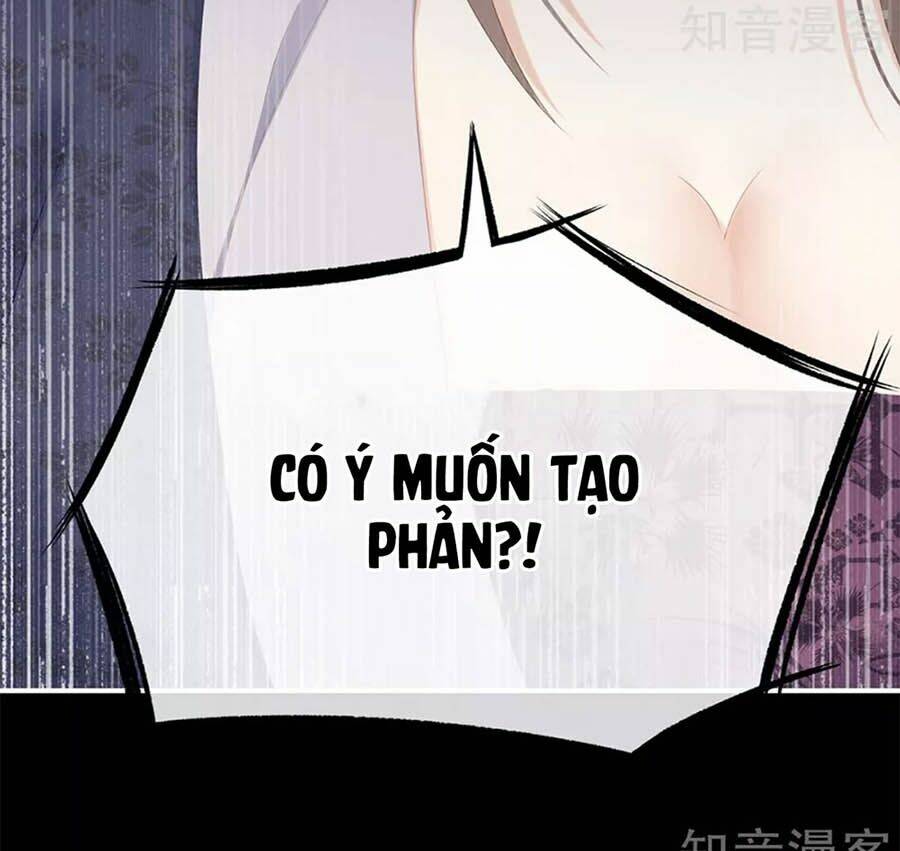 Hậu Cung Của Nữ Đế Chapter 181 - Trang 2