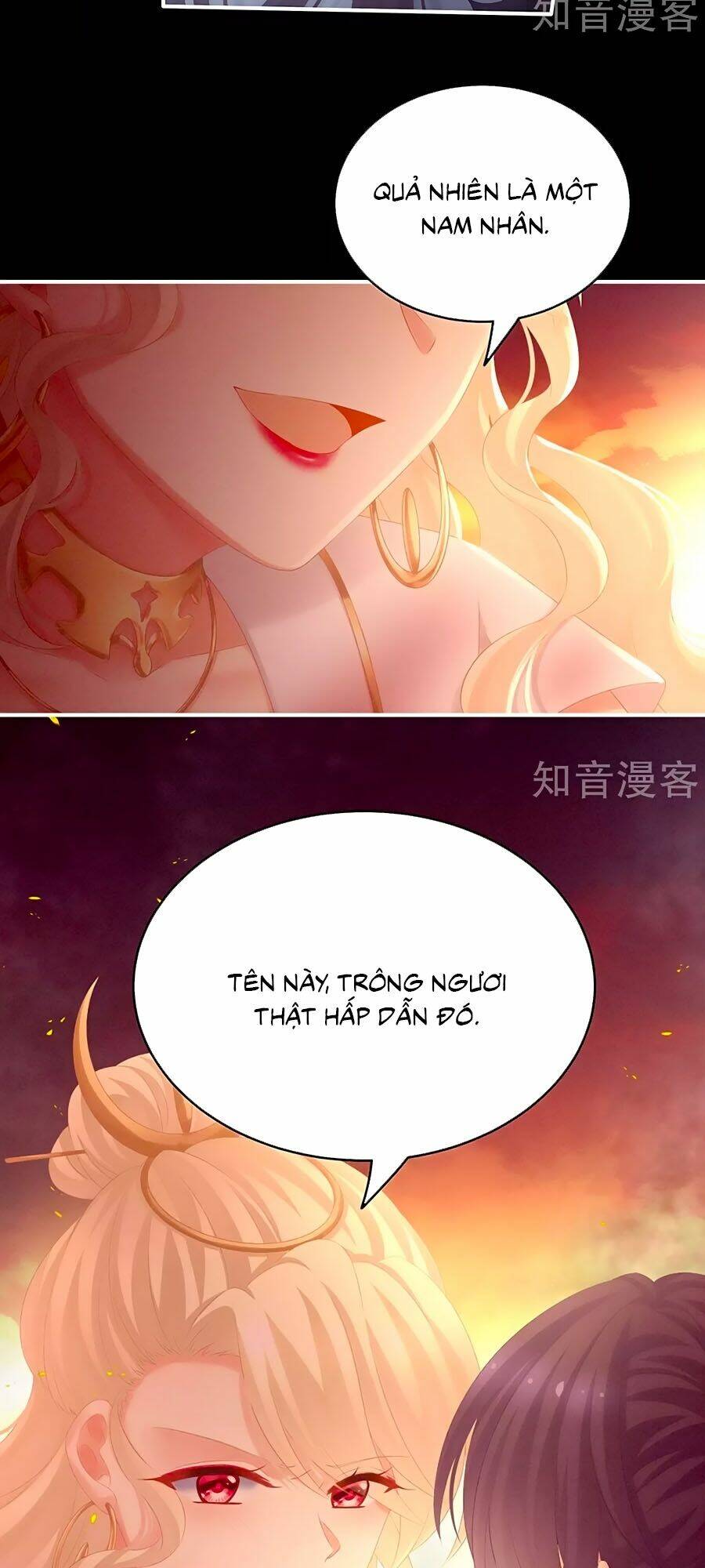 Hậu Cung Của Nữ Đế Chapter 185 - Trang 2