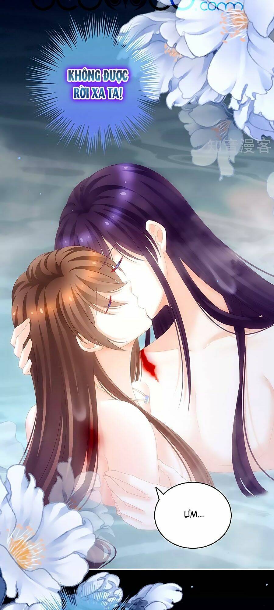 Hậu Cung Của Nữ Đế Chapter 187 - Trang 2