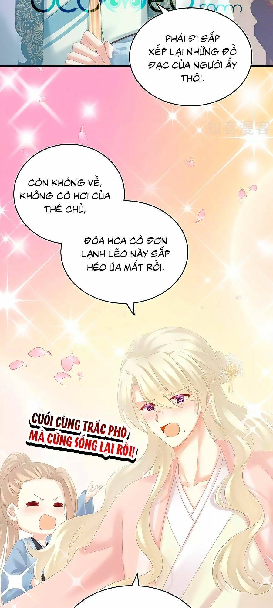Hậu Cung Của Nữ Đế Chapter 188 - Trang 2