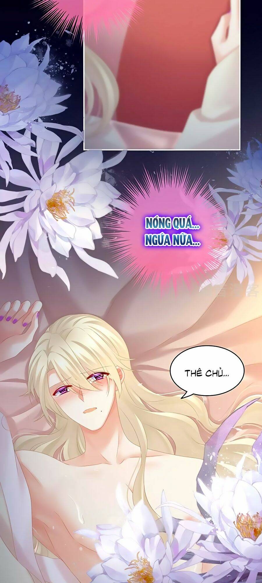 Hậu Cung Của Nữ Đế Chapter 191 - Trang 2