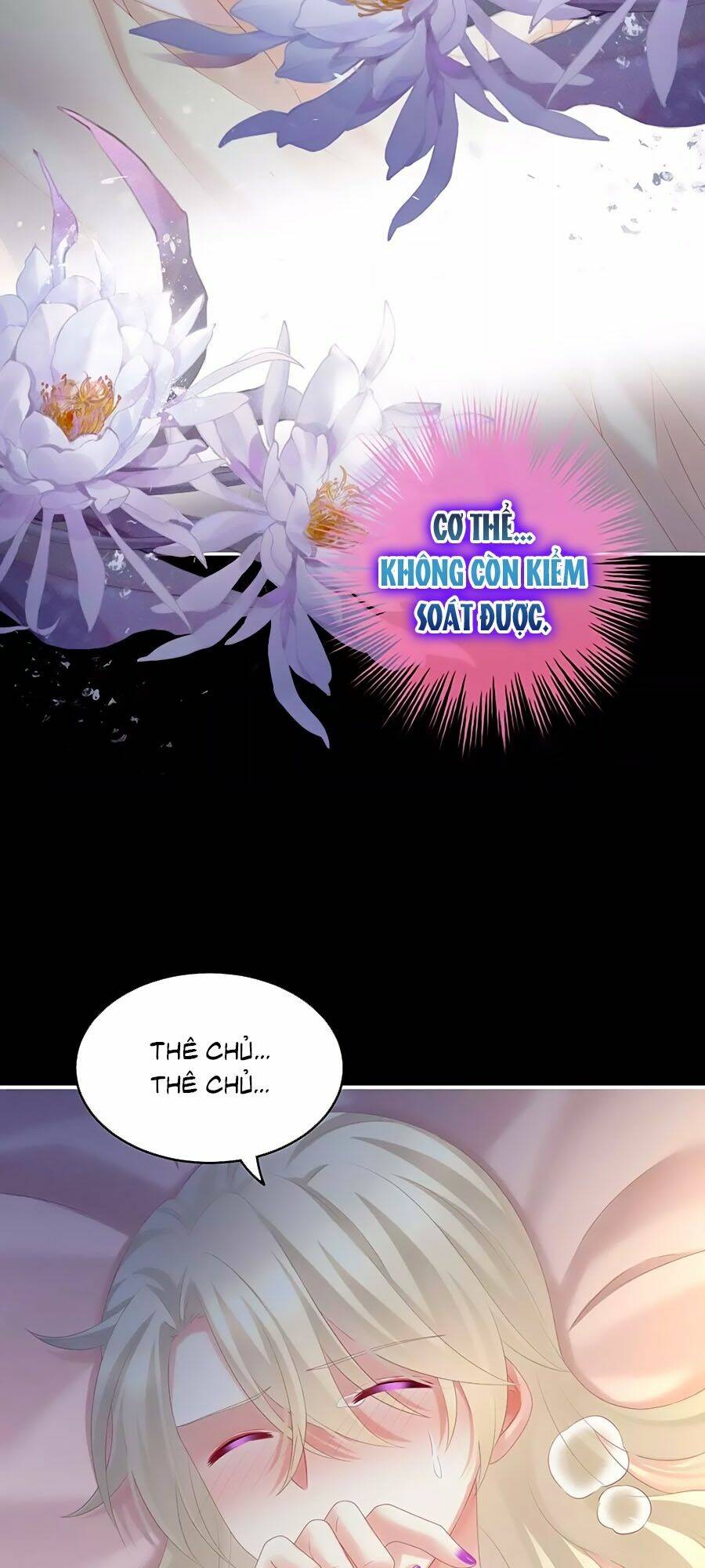 Hậu Cung Của Nữ Đế Chapter 191 - Trang 2