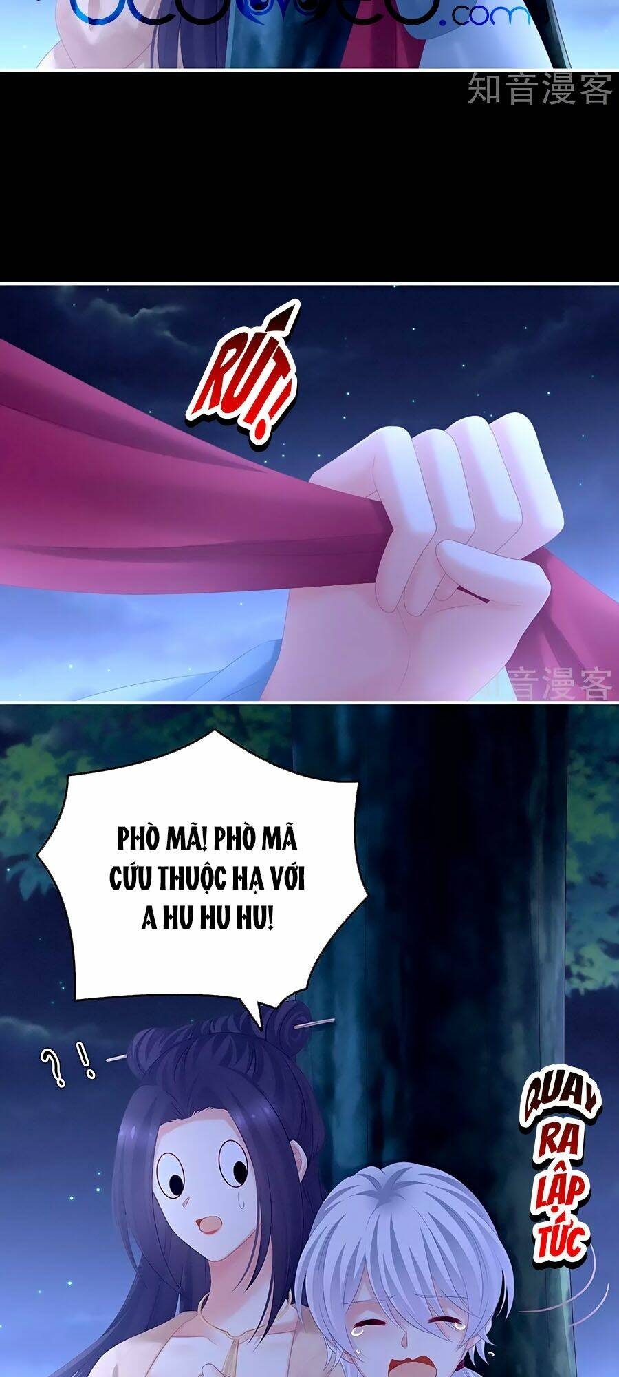 Hậu Cung Của Nữ Đế Chapter 192 - Trang 2