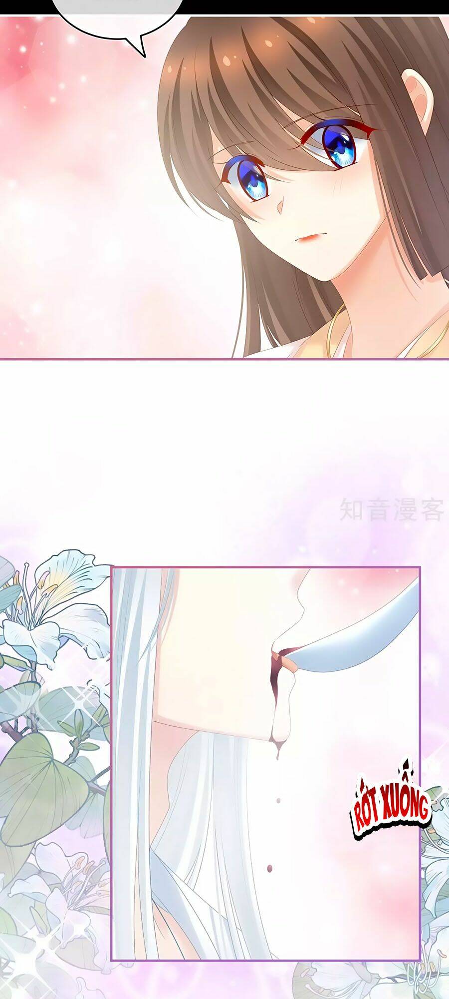 Hậu Cung Của Nữ Đế Chapter 197 - Trang 2