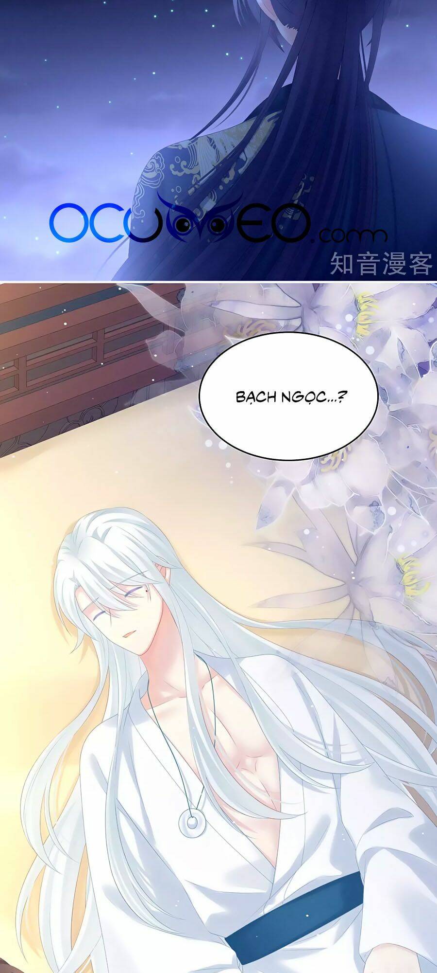 Hậu Cung Của Nữ Đế Chapter 197 - Trang 2