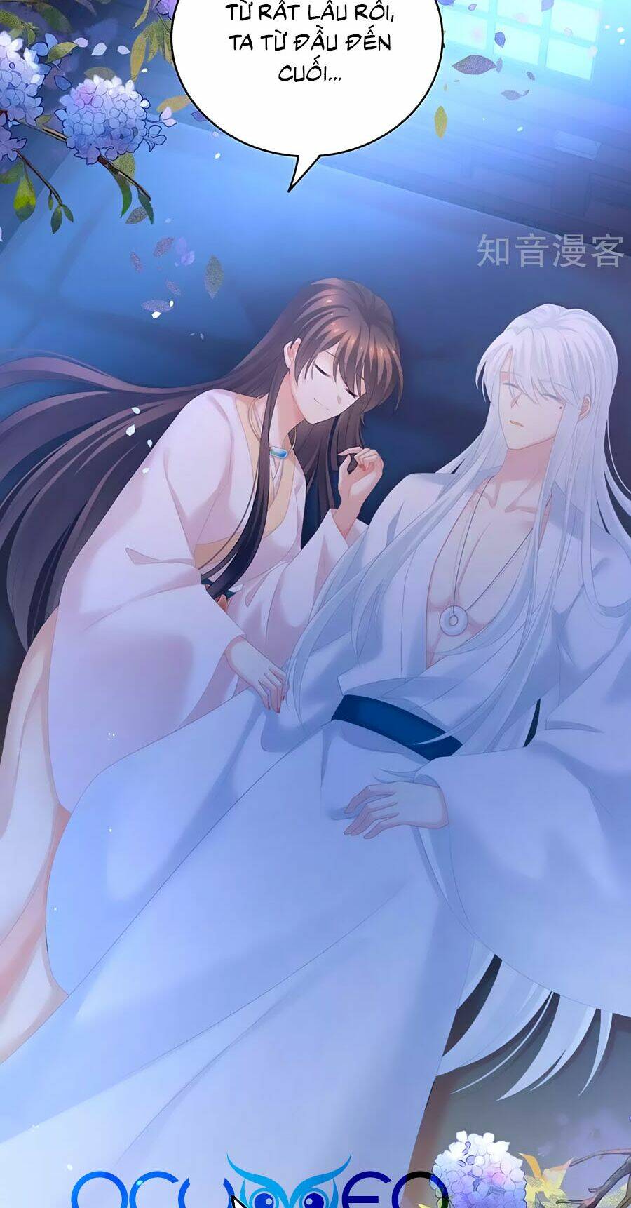 Hậu Cung Của Nữ Đế Chapter 197 - Trang 2