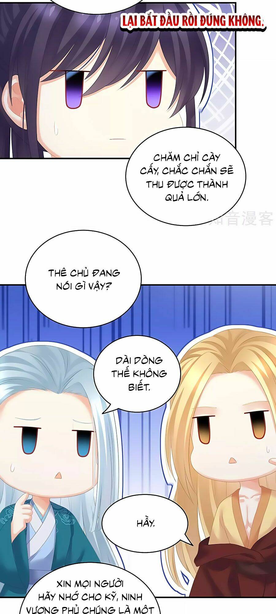 Hậu Cung Của Nữ Đế Chapter 204 - Trang 2