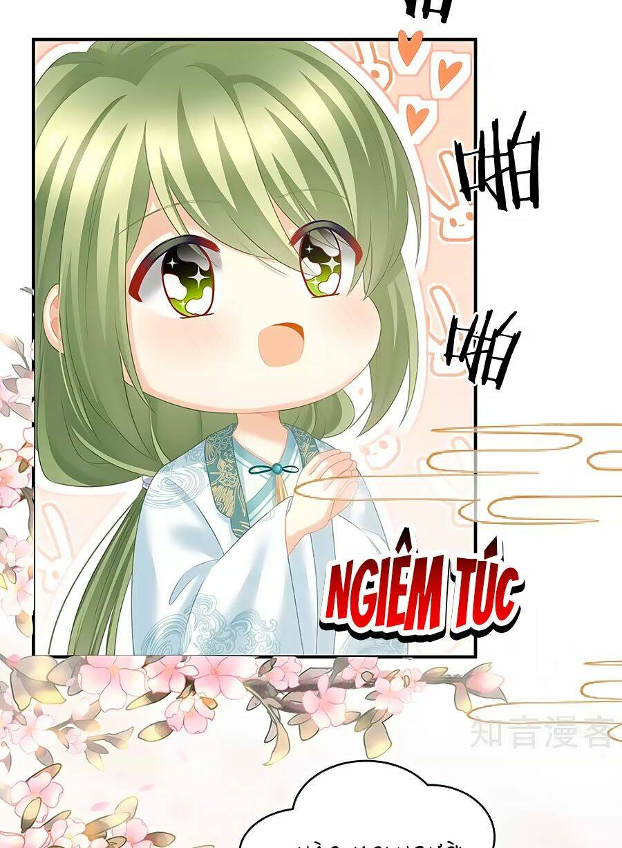 Hậu Cung Của Nữ Đế Chapter 204 - Trang 2