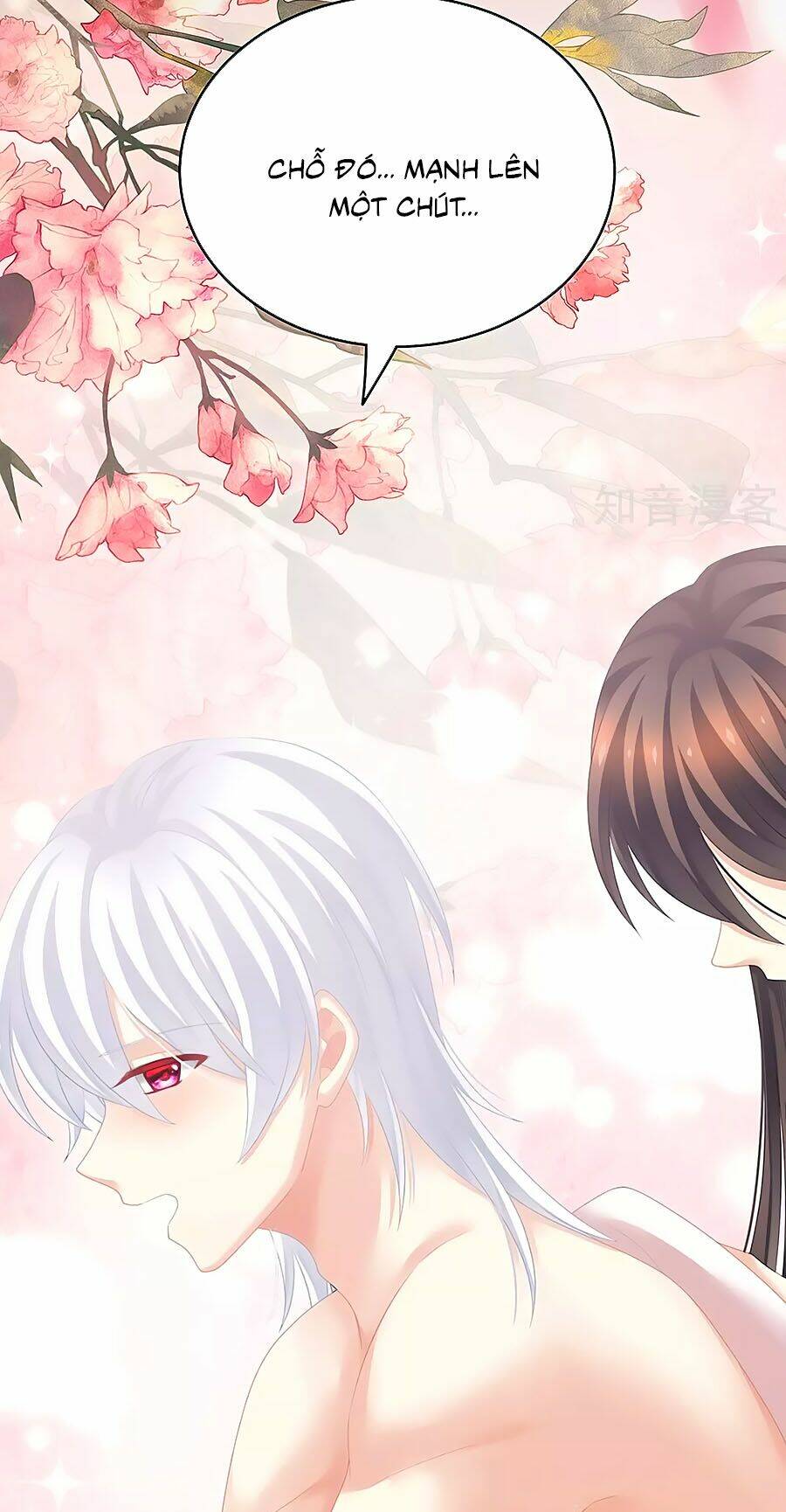 Hậu Cung Của Nữ Đế Chapter 206 - Trang 2