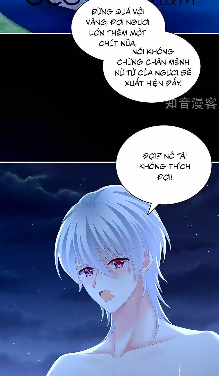 Hậu Cung Của Nữ Đế Chapter 206 - Trang 2