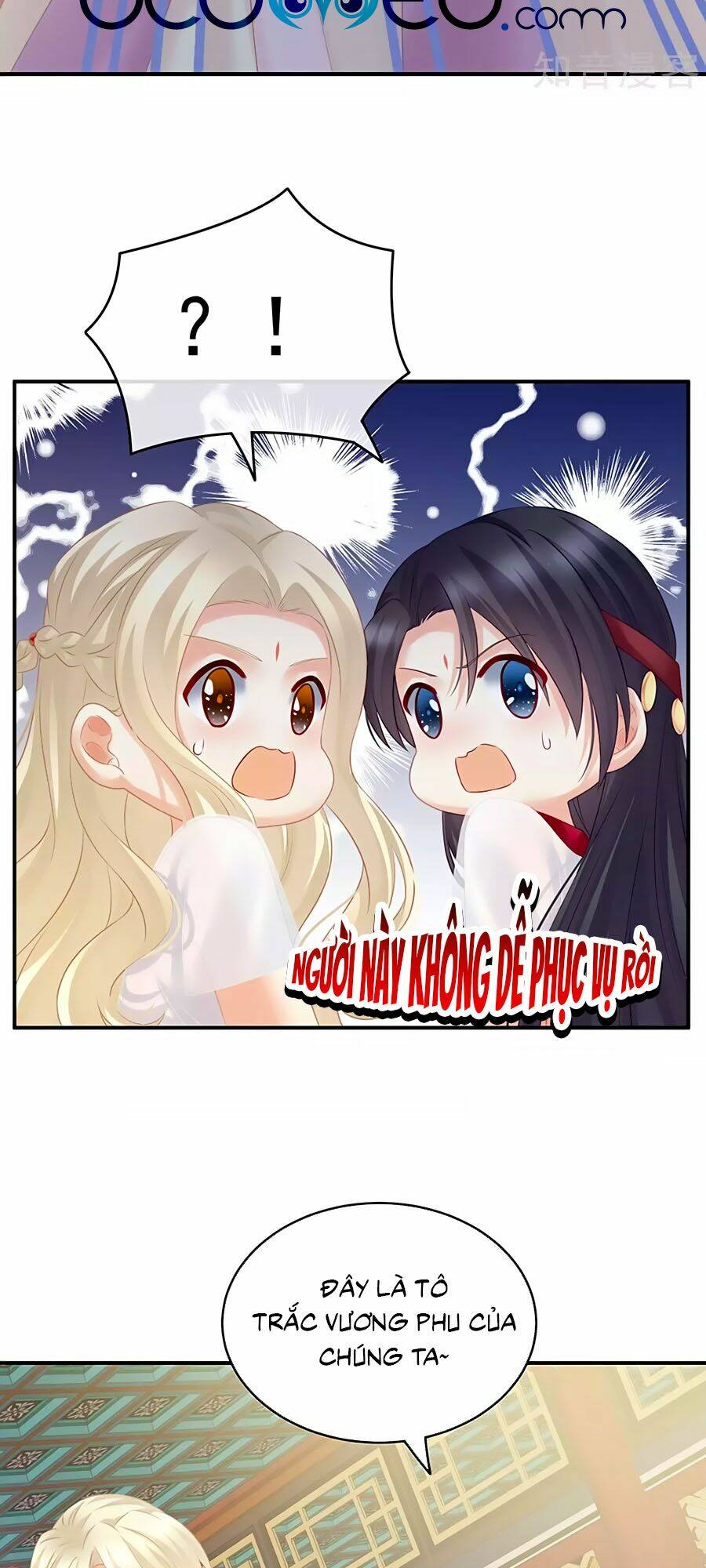 Hậu Cung Của Nữ Đế Chapter 211 - Trang 2