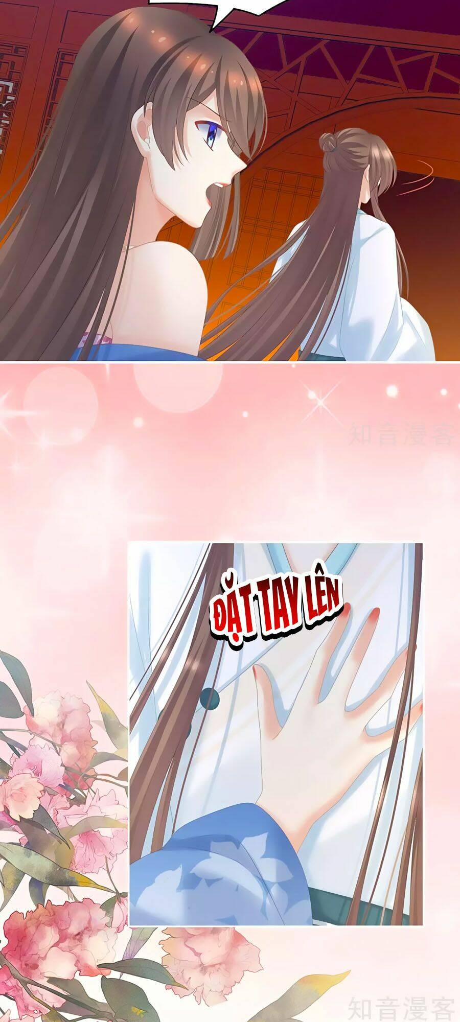 Hậu Cung Của Nữ Đế Chapter 211 - Trang 2