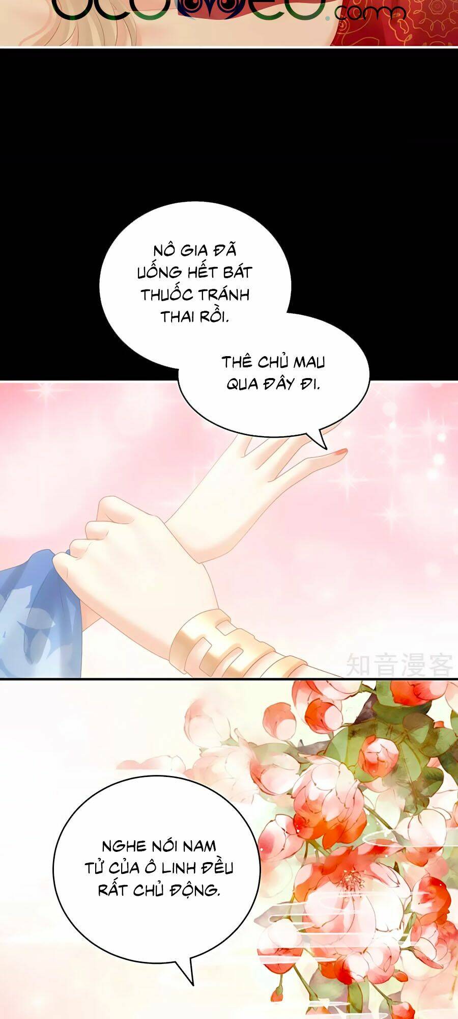 Hậu Cung Của Nữ Đế Chapter 211 - Trang 2