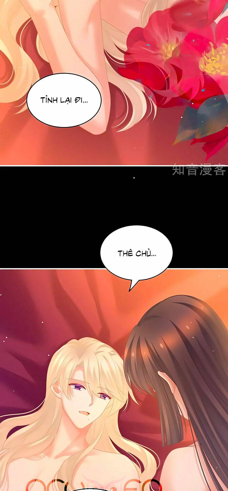 Hậu Cung Của Nữ Đế Chapter 212 - Trang 2