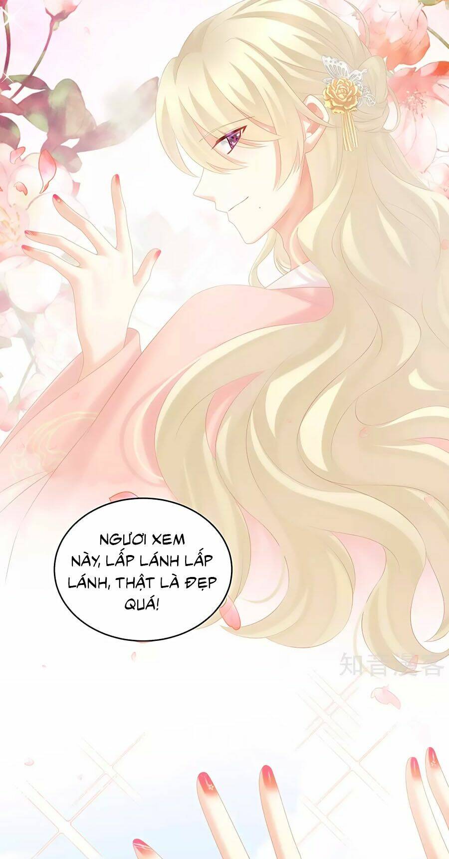 Hậu Cung Của Nữ Đế Chapter 213 - Trang 2