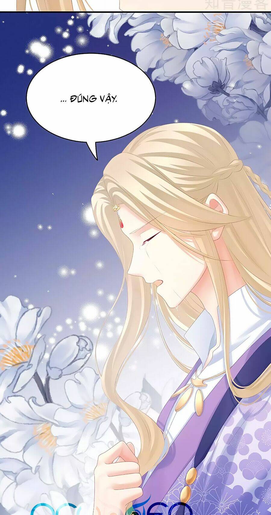 Hậu Cung Của Nữ Đế Chapter 216 - Trang 2