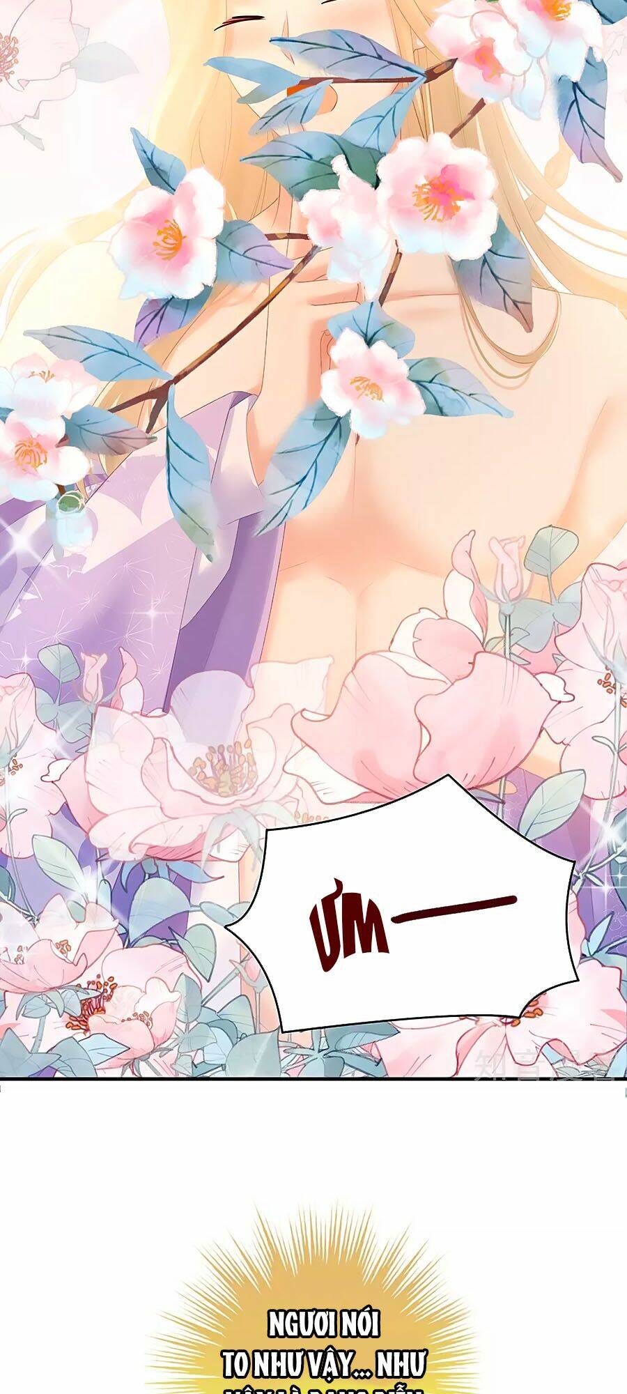 Hậu Cung Của Nữ Đế Chapter 216 - Trang 2