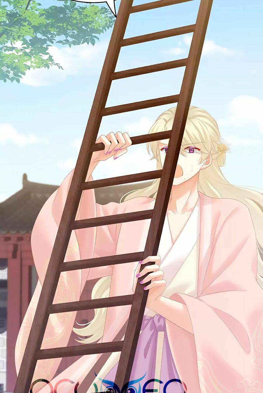 Hậu Cung Của Nữ Đế Chapter 217 - Trang 2