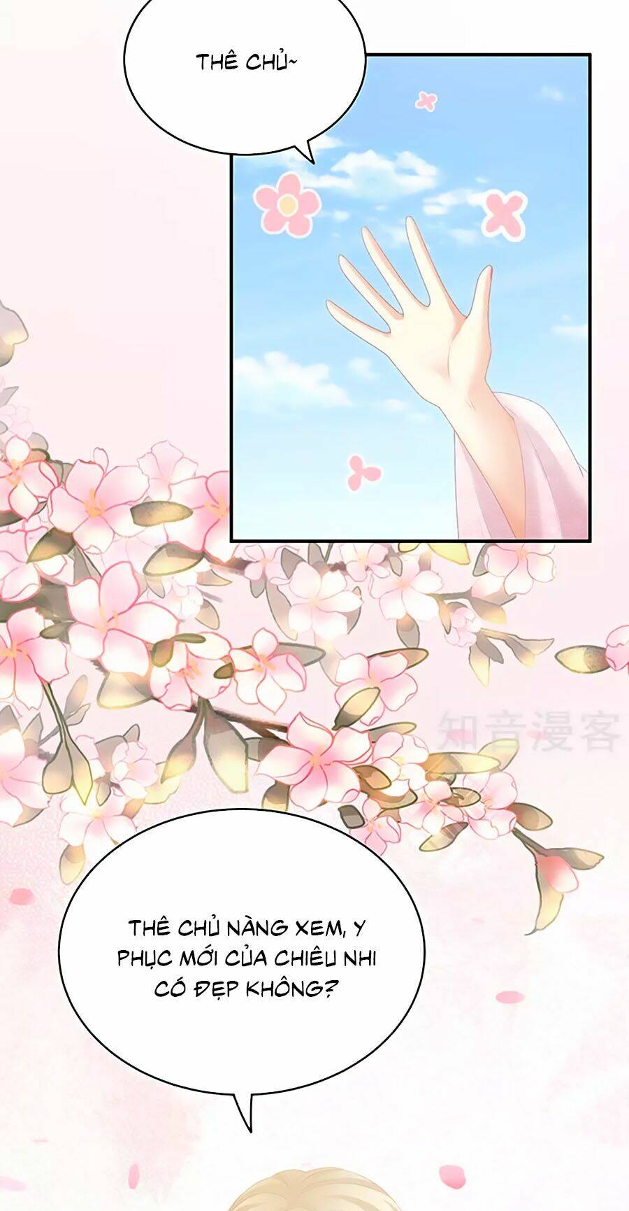 Hậu Cung Của Nữ Đế Chapter 220 - Trang 2