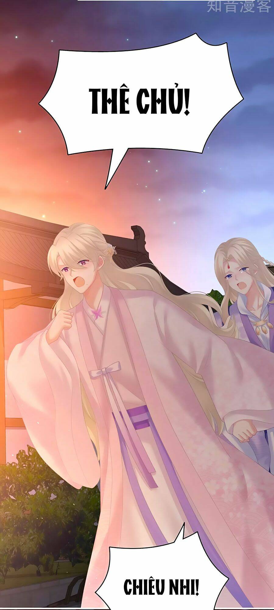 Hậu Cung Của Nữ Đế Chapter 222 - Trang 2