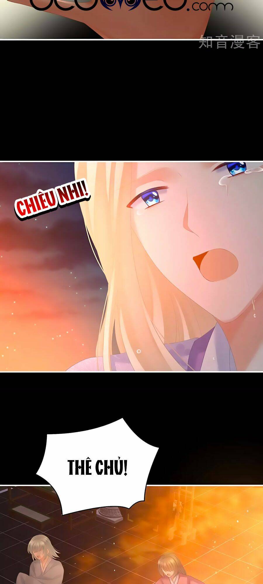 Hậu Cung Của Nữ Đế Chapter 222 - Trang 2