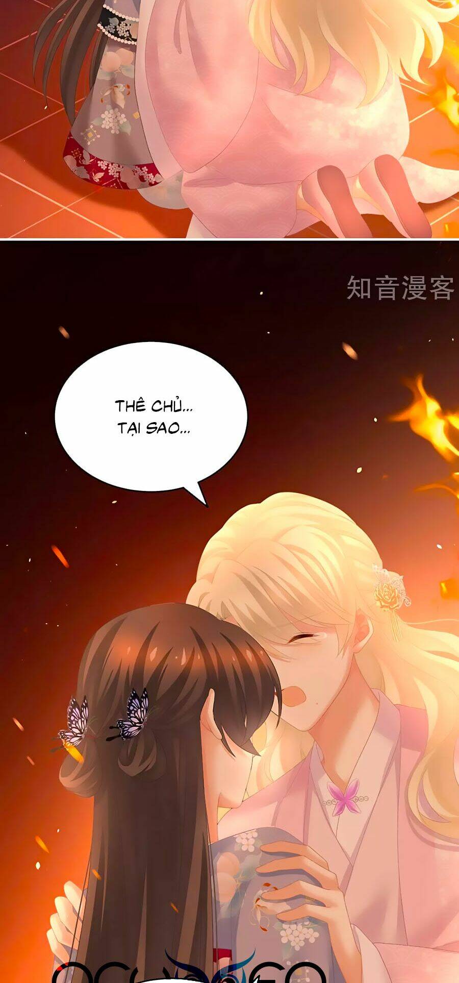 Hậu Cung Của Nữ Đế Chapter 223 - Trang 2