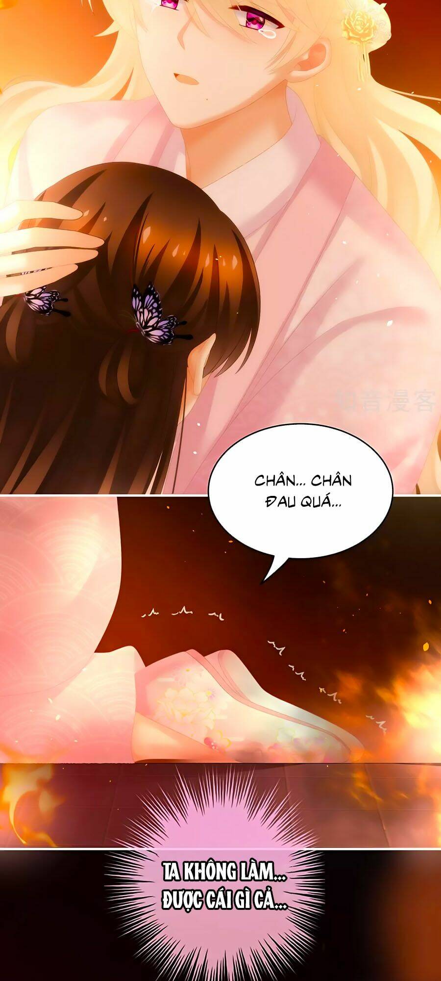 Hậu Cung Của Nữ Đế Chapter 223 - Trang 2