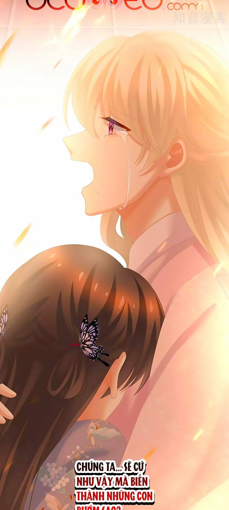 Hậu Cung Của Nữ Đế Chapter 223 - Trang 2