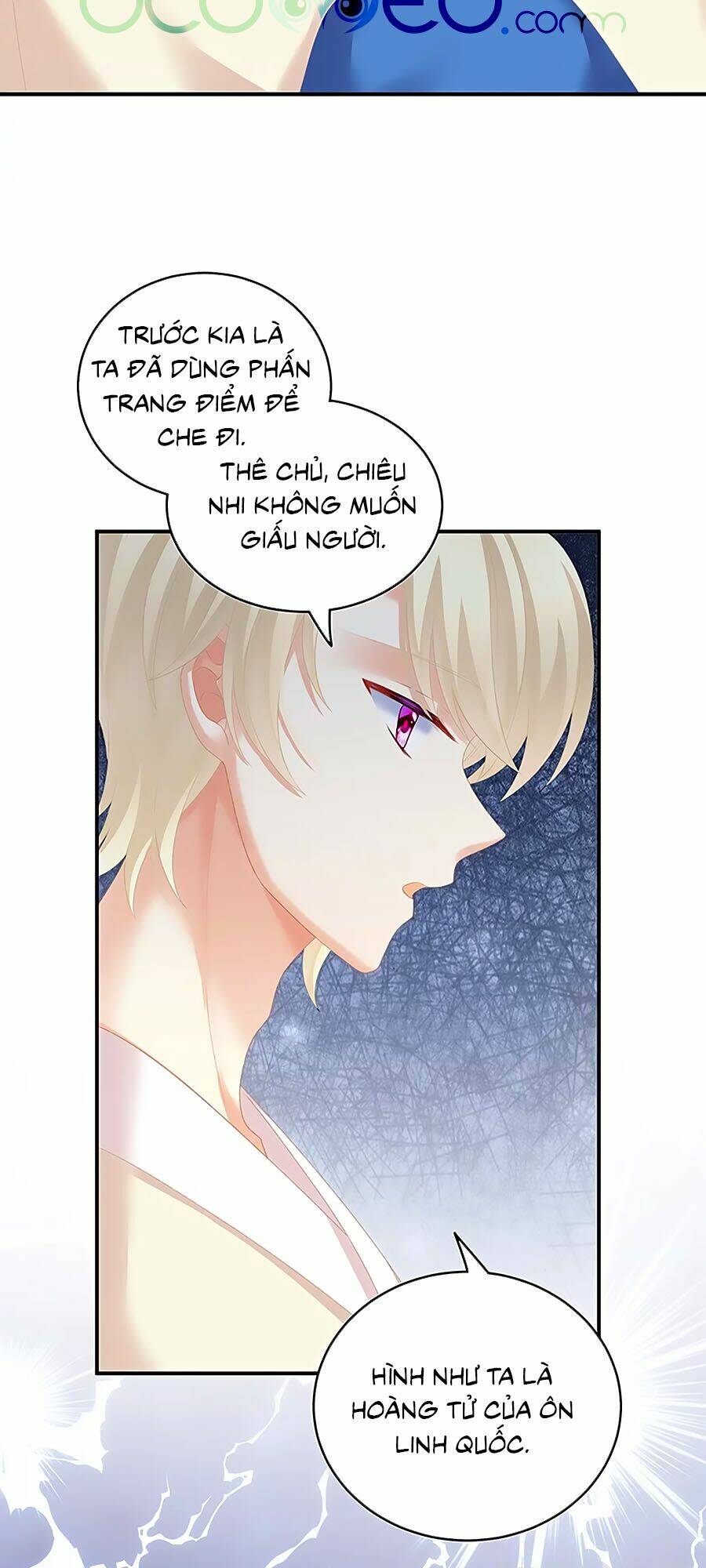 Hậu Cung Của Nữ Đế Chapter 224 - Trang 2