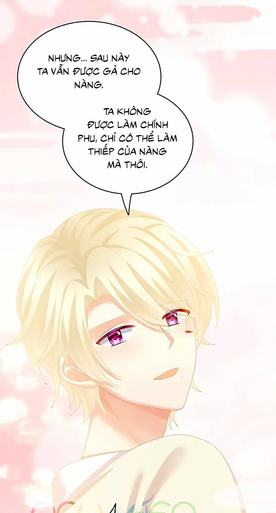 Hậu Cung Của Nữ Đế Chapter 224 - Trang 2