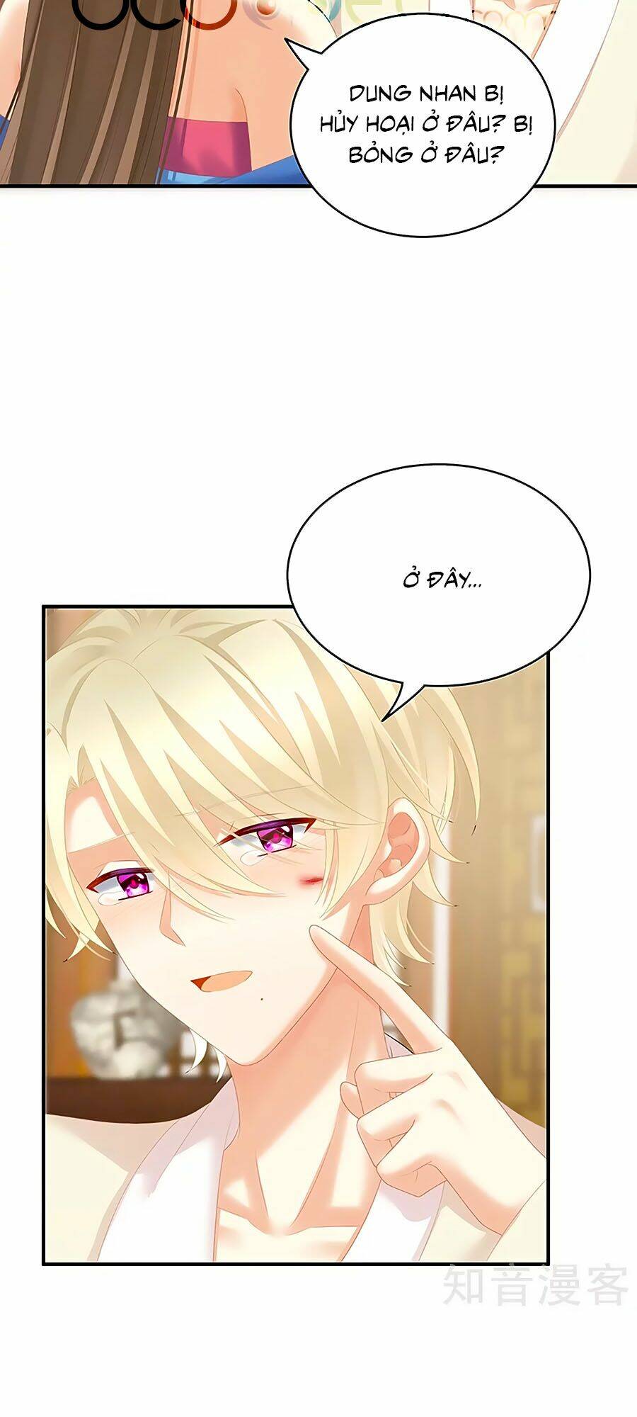 Hậu Cung Của Nữ Đế Chapter 224 - Trang 2