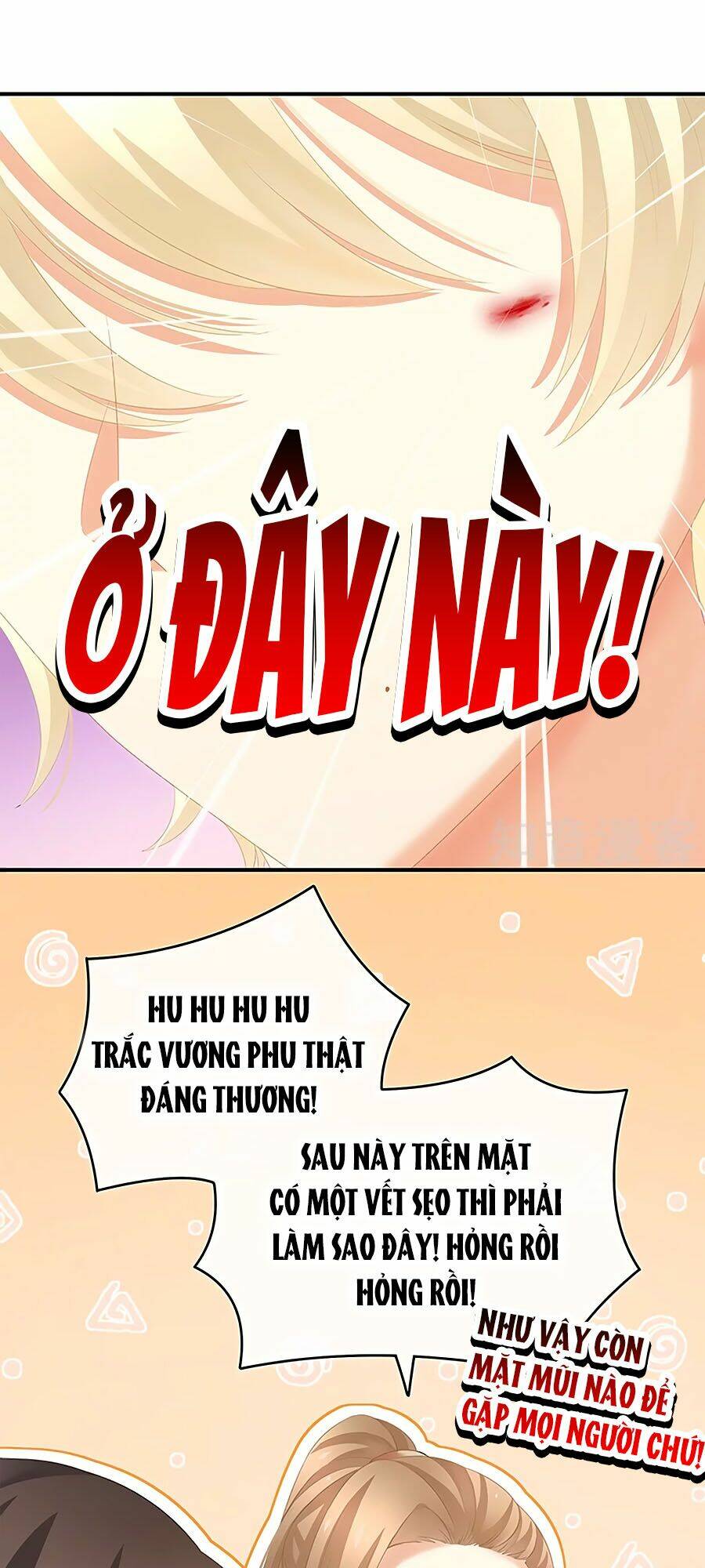 Hậu Cung Của Nữ Đế Chapter 224 - Trang 2