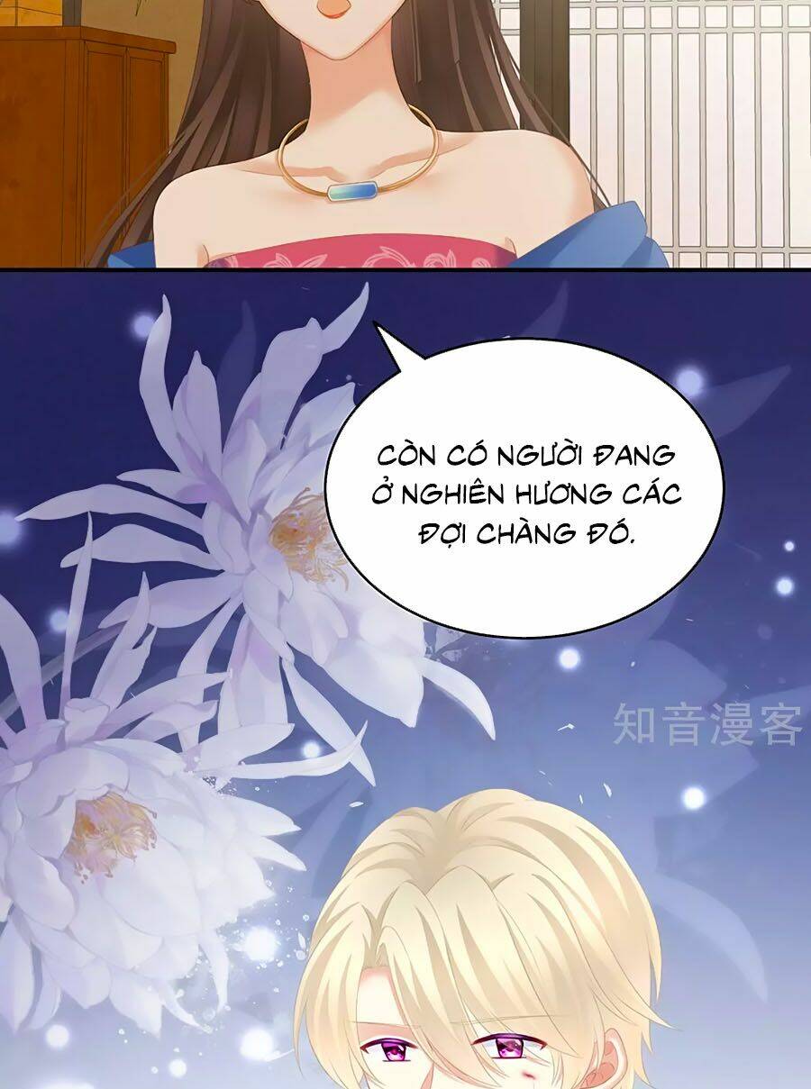 Hậu Cung Của Nữ Đế Chapter 226 - Trang 2