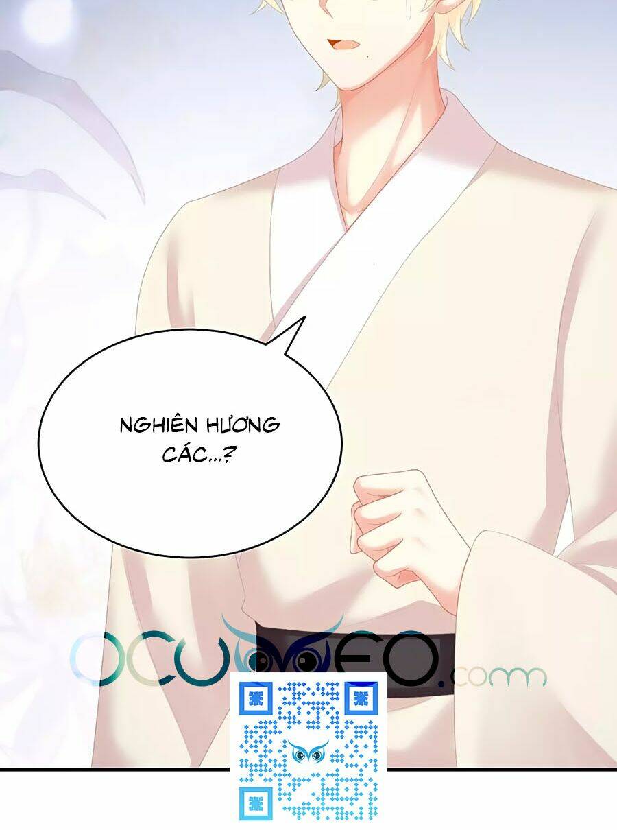 Hậu Cung Của Nữ Đế Chapter 226 - Trang 2