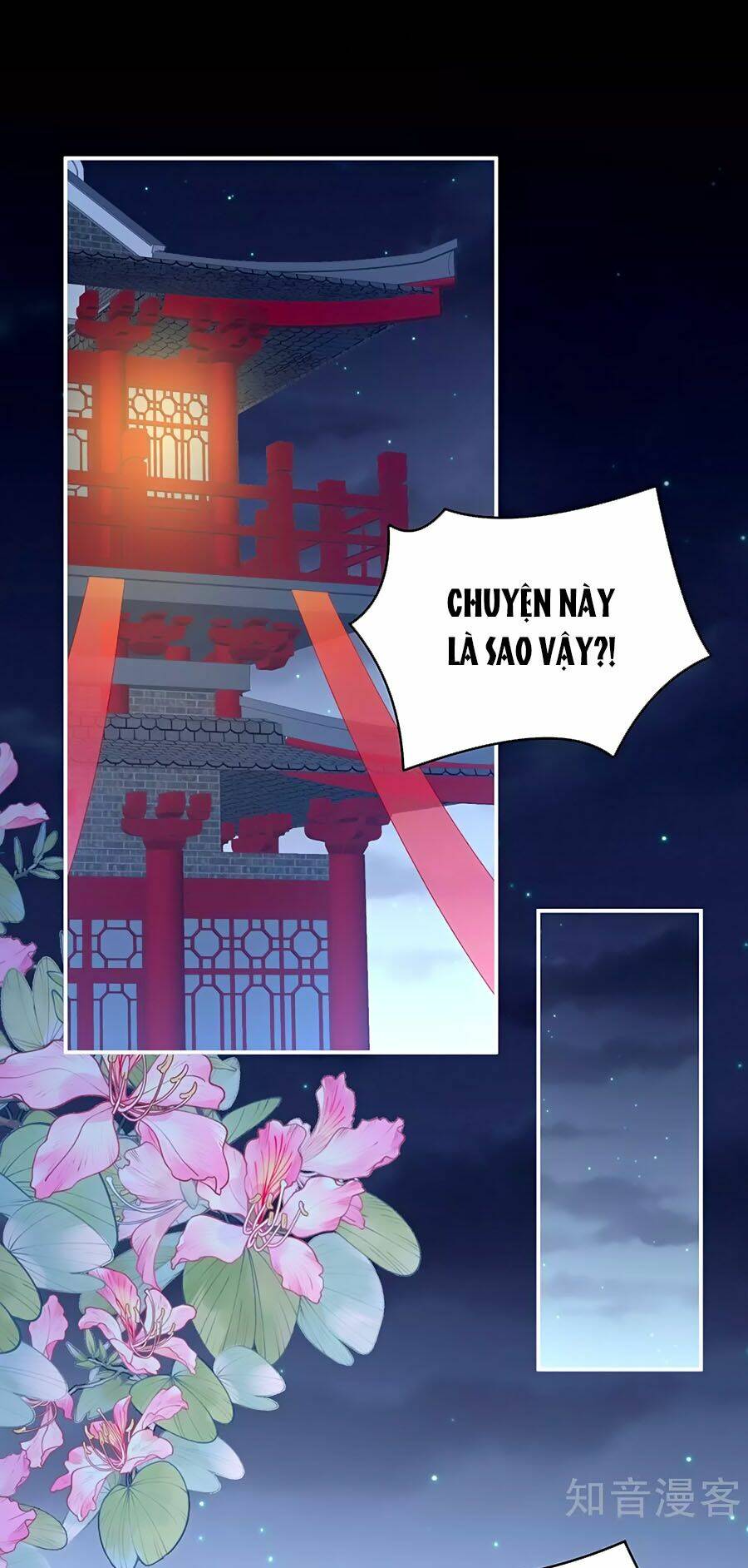 Hậu Cung Của Nữ Đế Chapter 227 - Trang 2