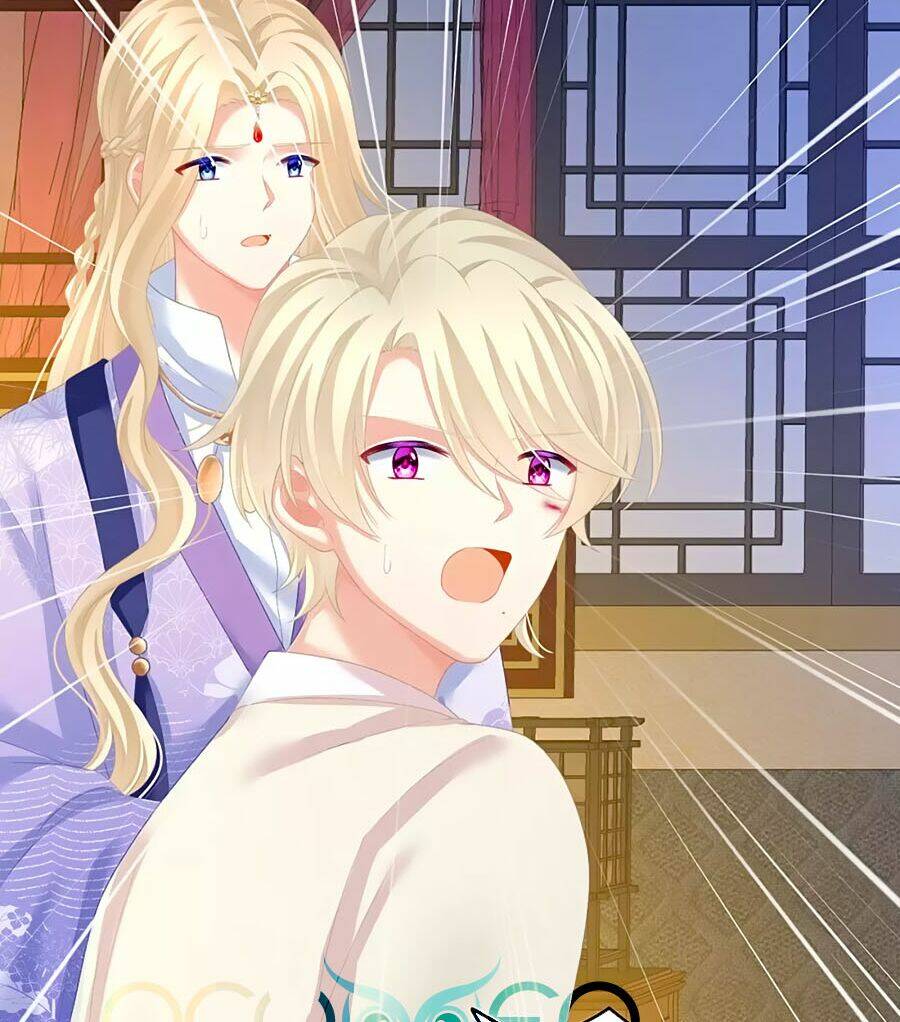Hậu Cung Của Nữ Đế Chapter 227 - Trang 2