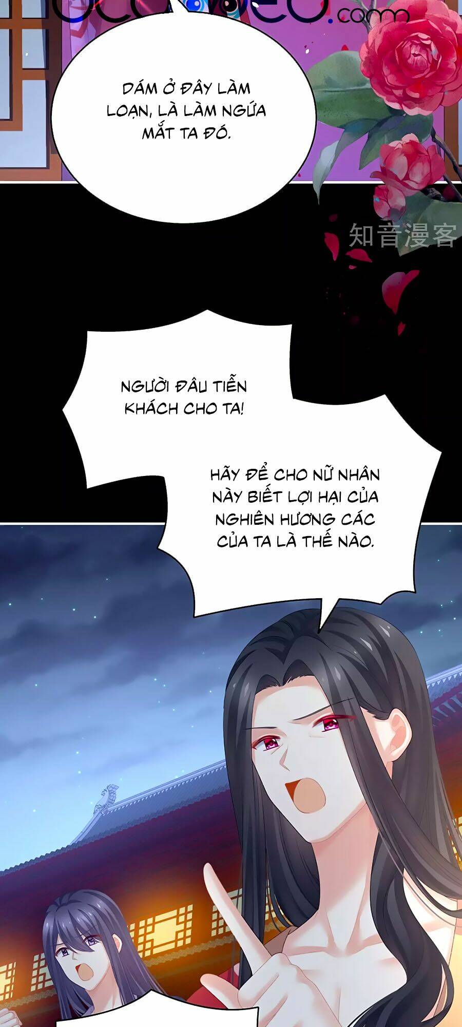 Hậu Cung Của Nữ Đế Chapter 227 - Trang 2