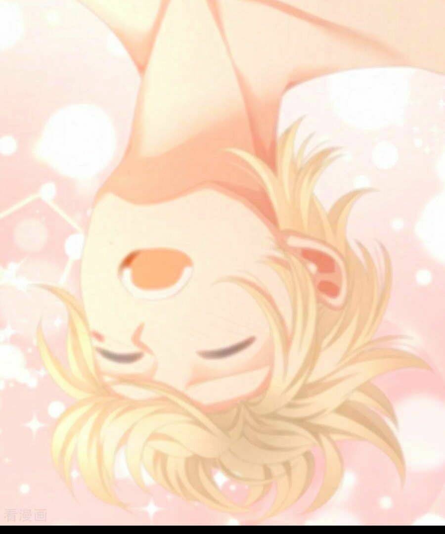 Hậu Cung Của Nữ Đế Chapter 229 - Trang 2