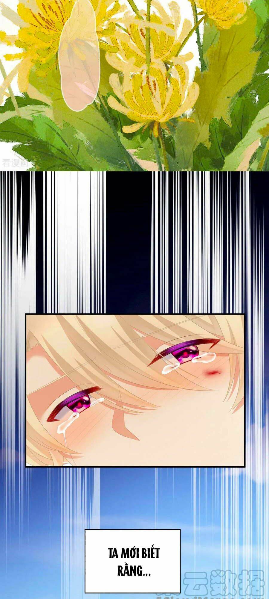 Hậu Cung Của Nữ Đế Chapter 229 - Trang 2