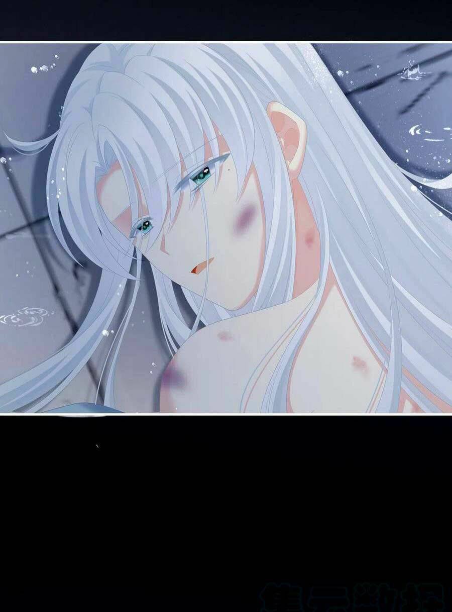 Hậu Cung Của Nữ Đế Chapter 241 - Trang 2