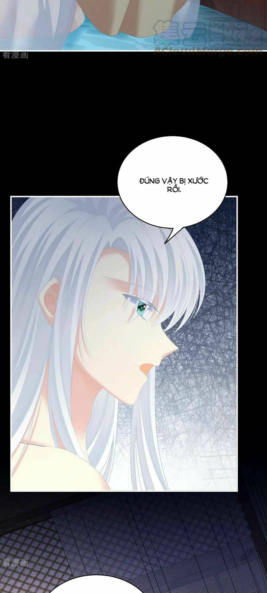 Hậu Cung Của Nữ Đế Chapter 242 - Trang 2