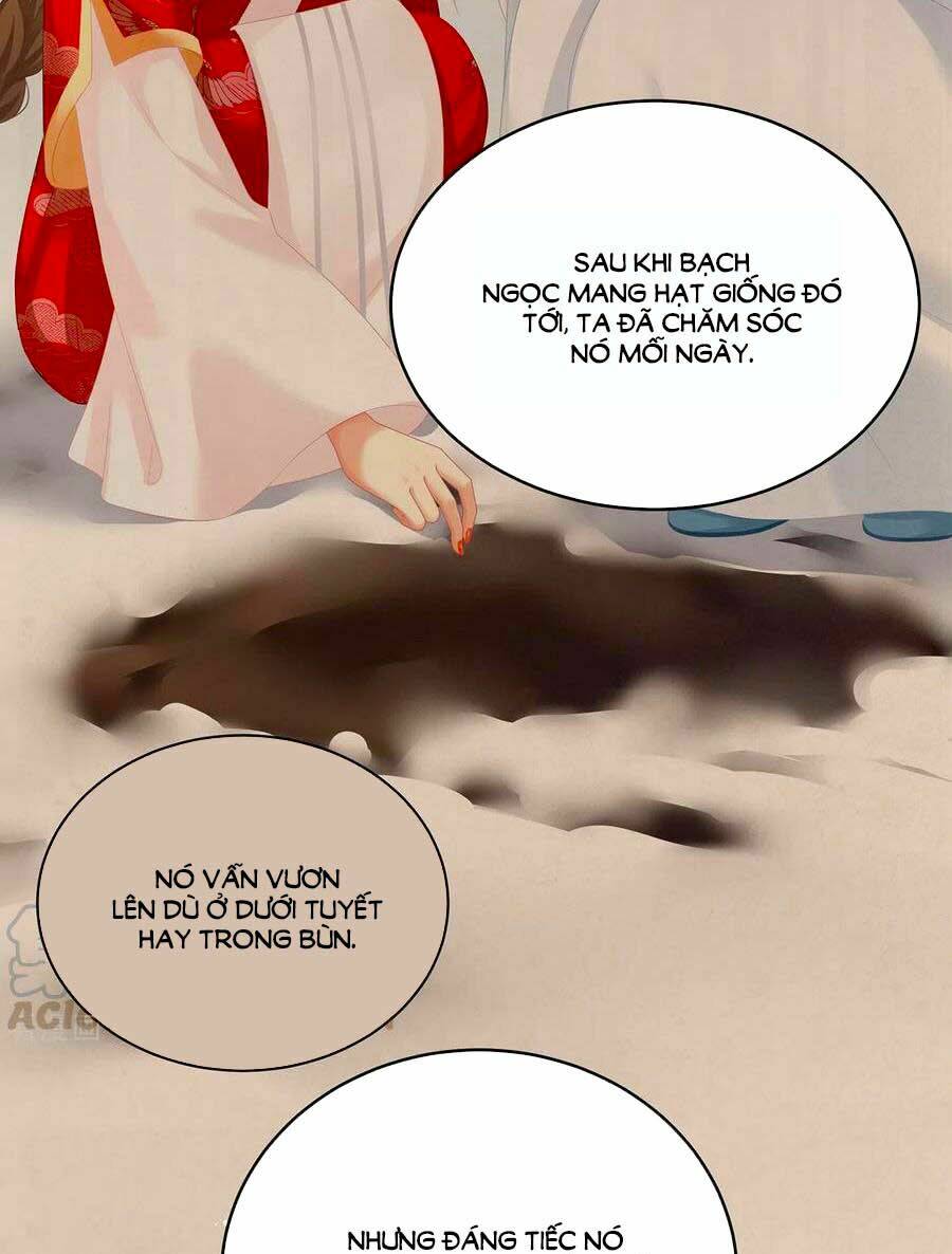 Hậu Cung Của Nữ Đế Chapter 245 - Trang 2