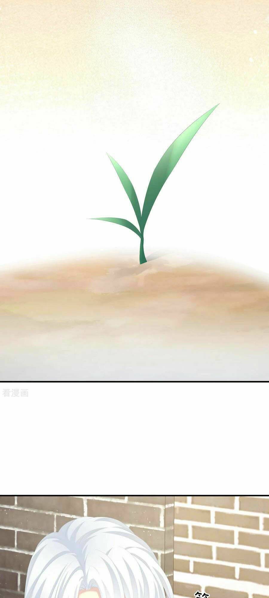 Hậu Cung Của Nữ Đế Chapter 249 - Trang 2