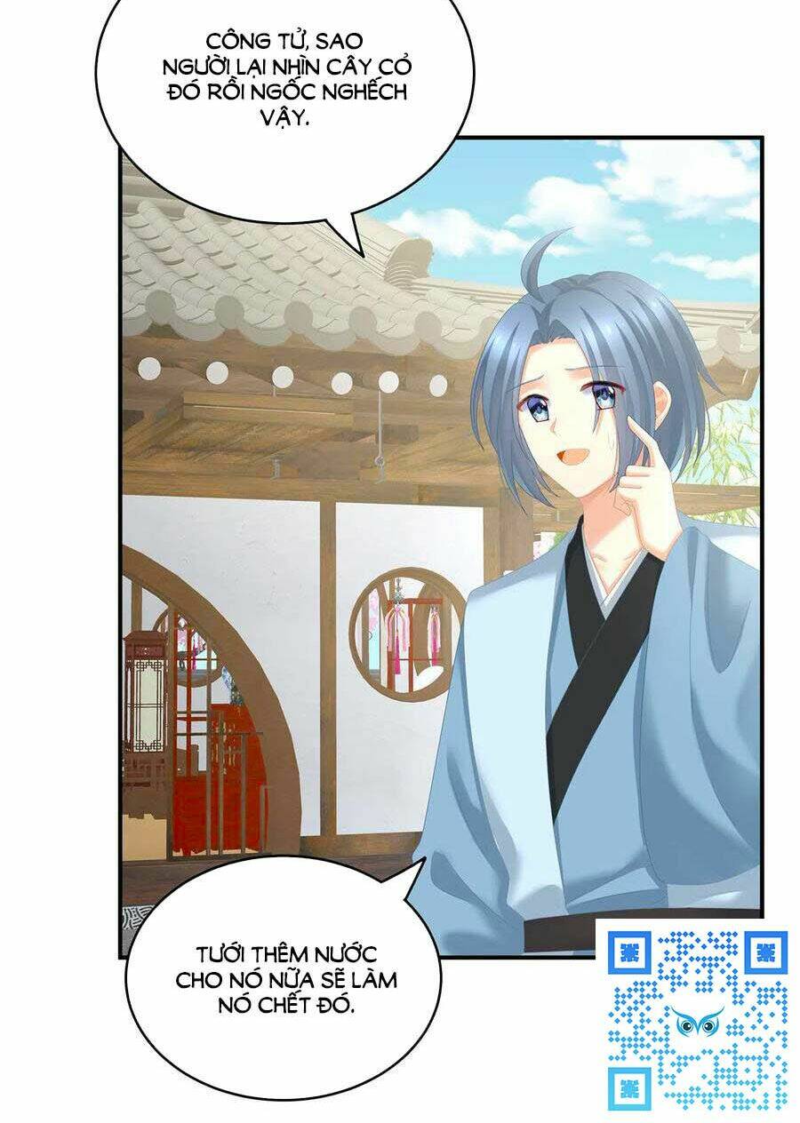 Hậu Cung Của Nữ Đế Chapter 249 - Trang 2